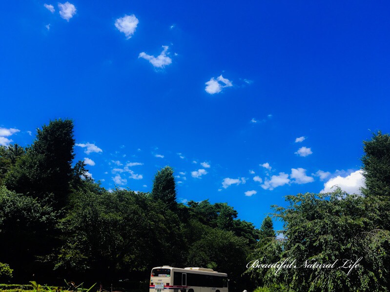 夏バテ知らずで夏を楽しもう♪そのコツ