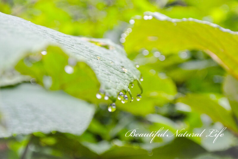 梅雨寒の体調をどうやって維持するか！？